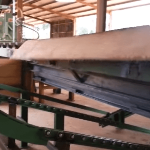 Cadena triple rampa para troncos / Triple ramp chain for wood logs